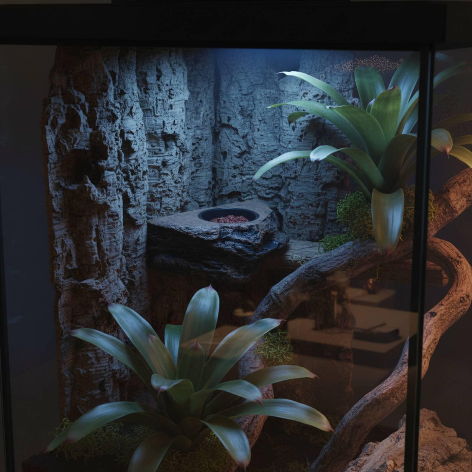 Water Dish Reptile - Estante para Comida y Agua de
