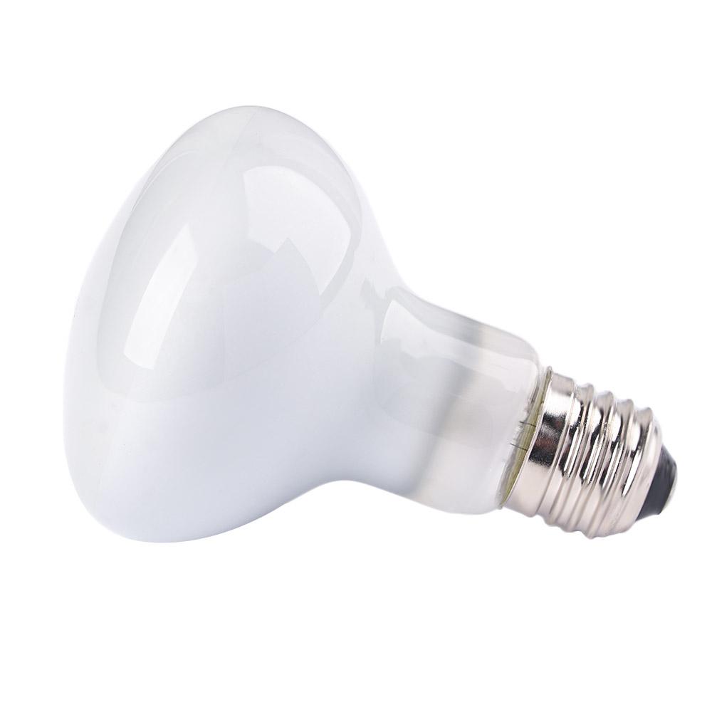Basking Bulb Halogen - Controlador de Temperatura para Anfibios, Calentador,