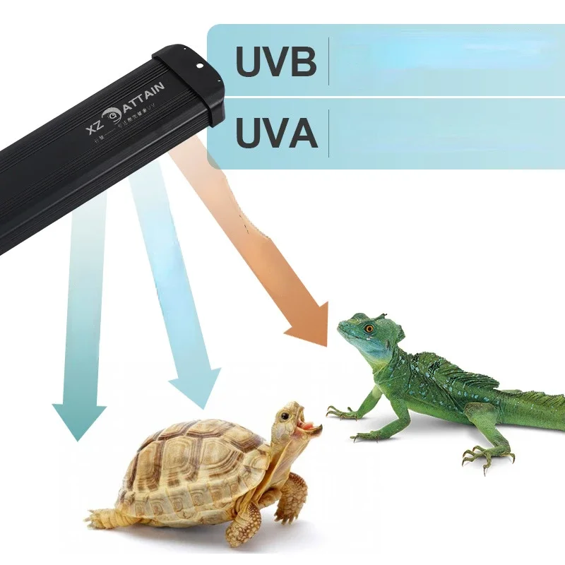 Lámpara UV LED de espectro com - Calcium Powder Reptile reseña y precio
