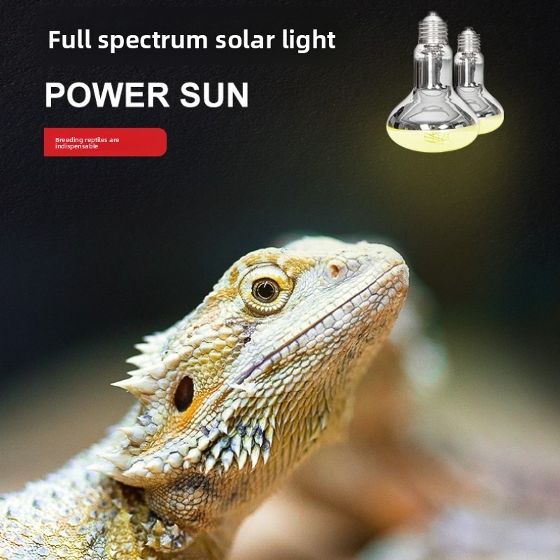 Reptizoo Lámpara solar para re - Calcium Powder Reptile reseña y precio