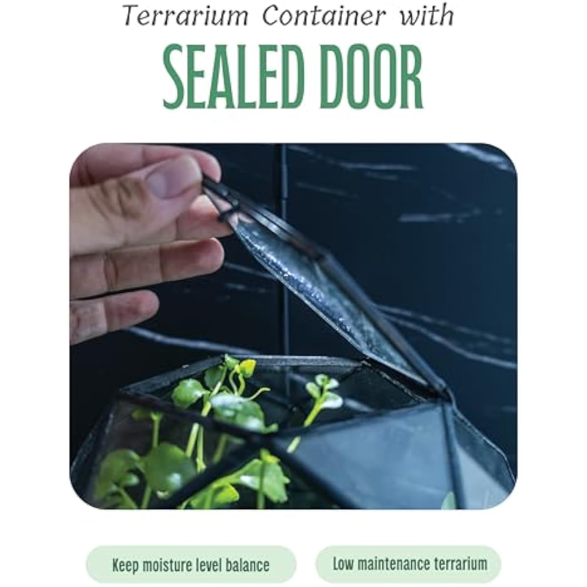 Terrario Esférico Geométrico c - Glass Door Hinge reseña y precio