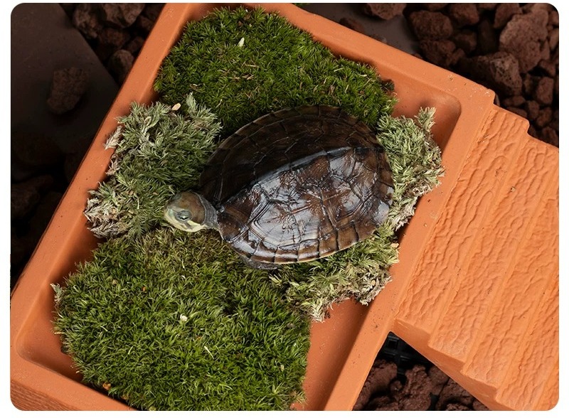 Plataforma de Reposo para Tort - Hide Cave Ceramic reseña y precio