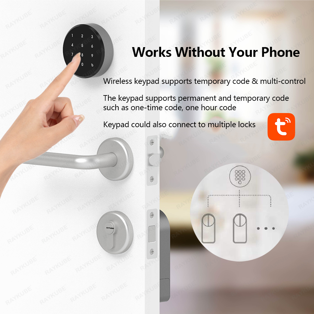 RAYKUBE A1 Pro Tuya BEL Juego  - Glass Door Hinge reseña y precio