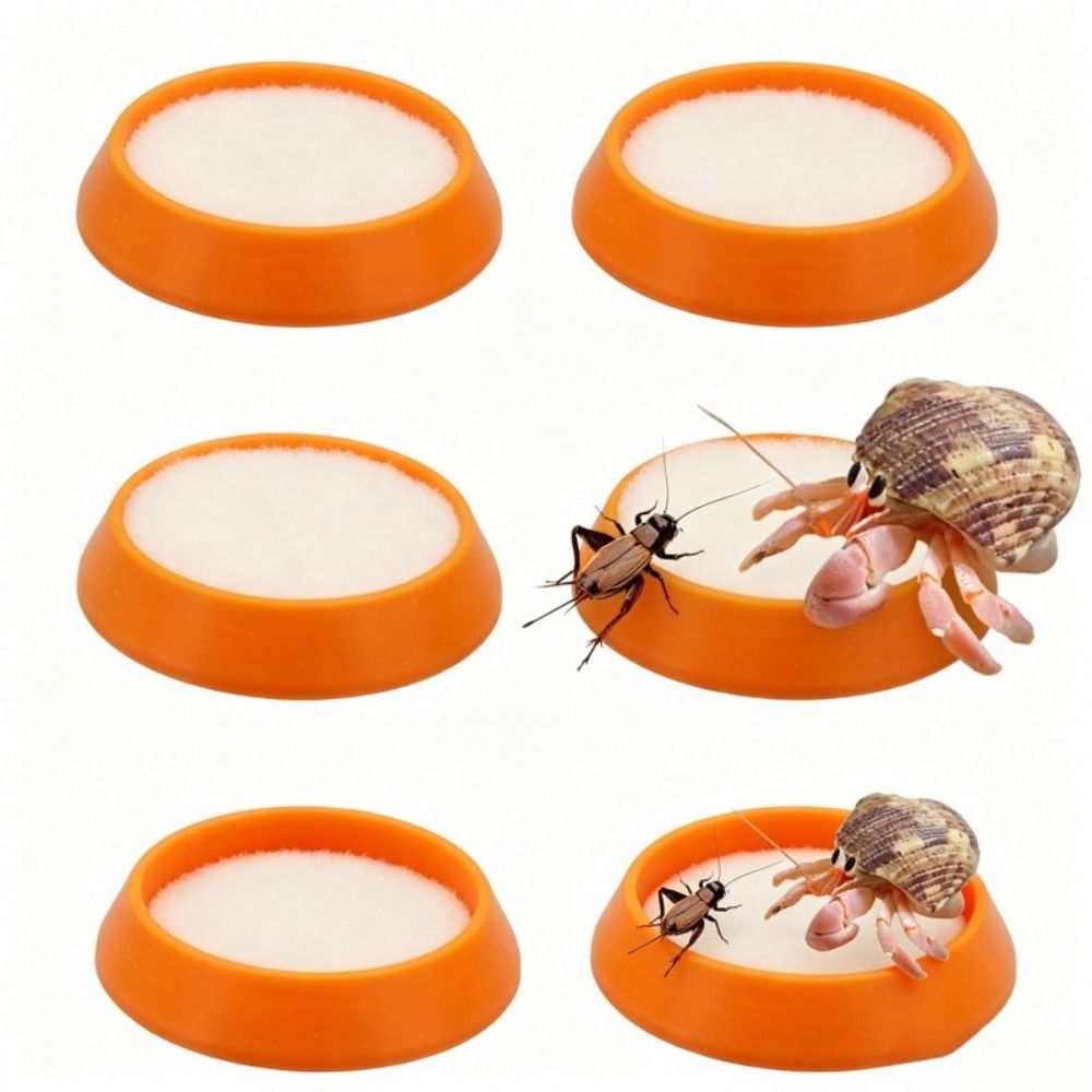 6 Platos Portátiles Reutilizab - Water Dish Reptile reseña y precio