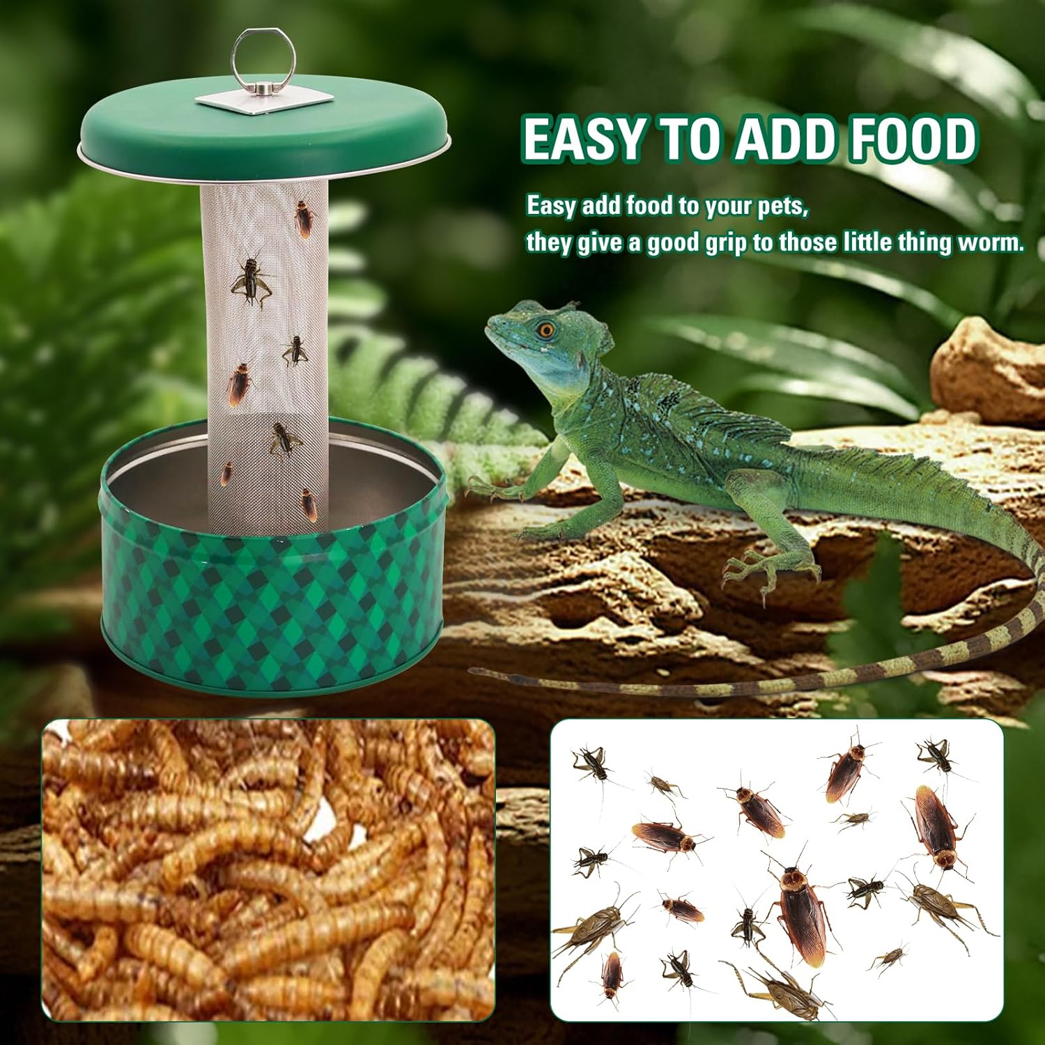 Alimentador de dragón barbudo, - Water Dish Reptile reseña y precio