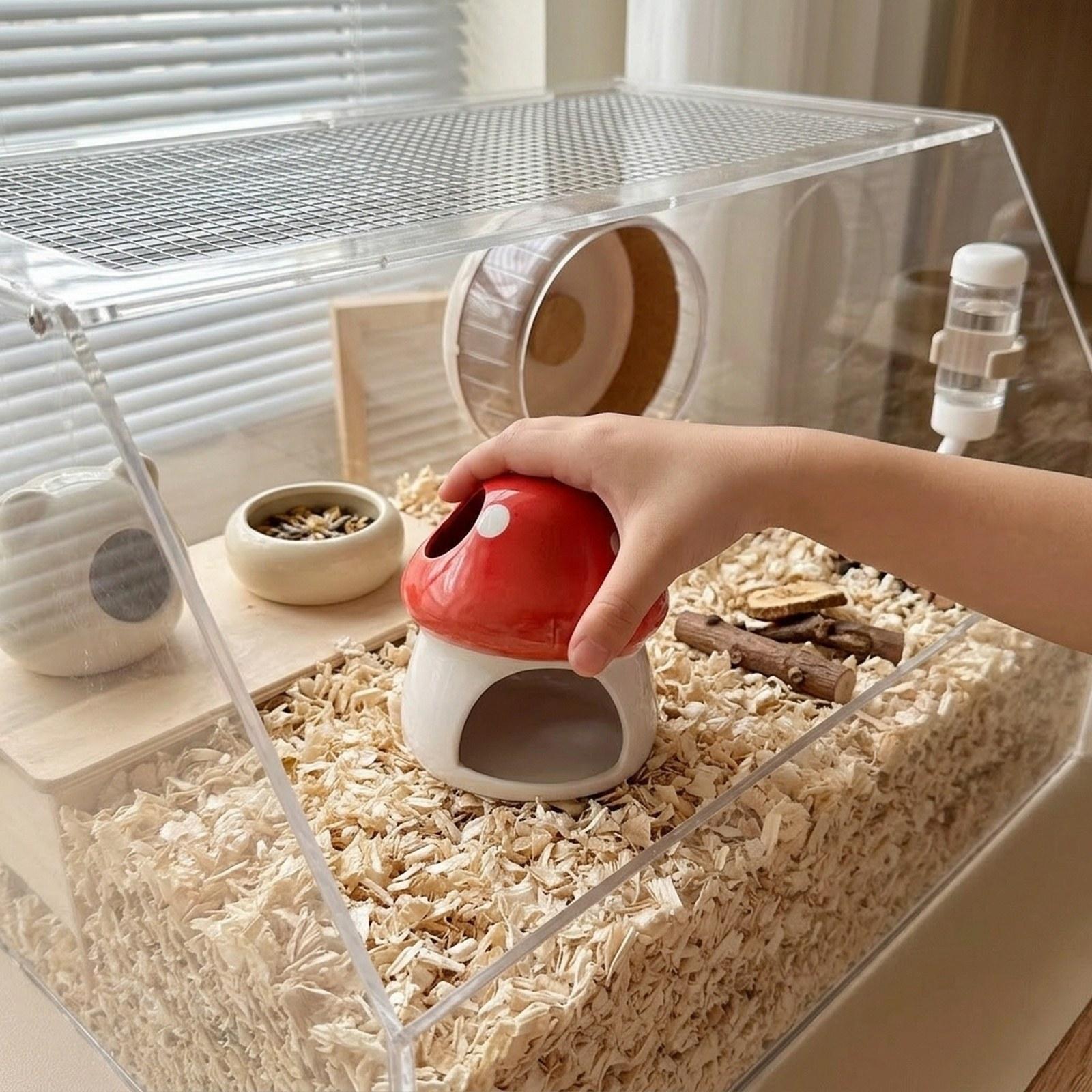 Casa de cerámica para hámster, - Hide Cave Ceramic reseña y precio