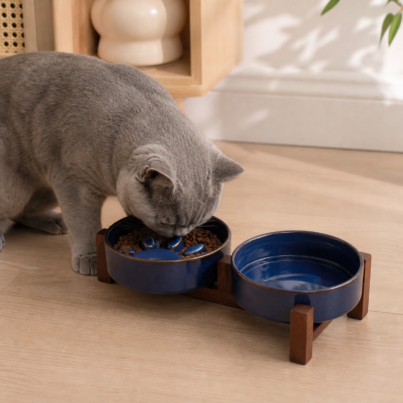 Tazón de cerámica estilo japon - Royal Canin Food Medium reseña y precio