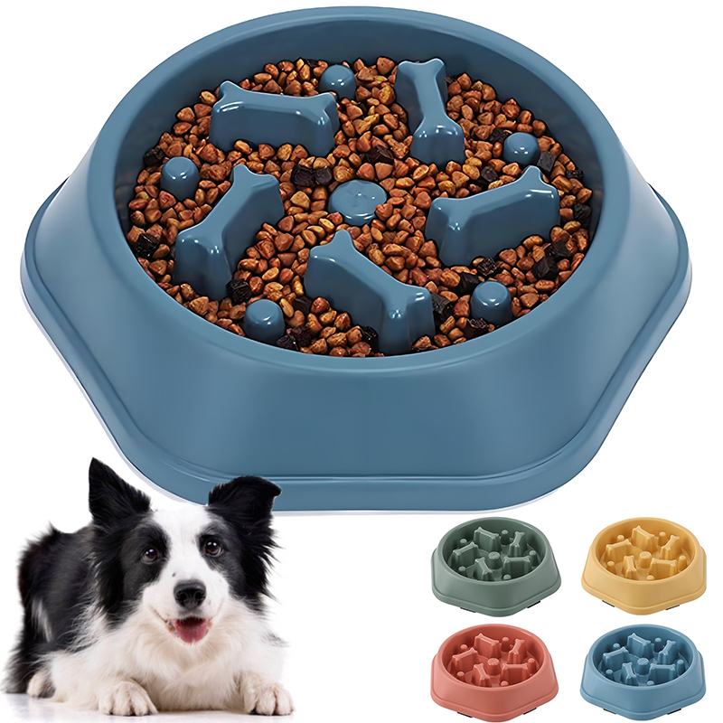 Comedero lento para perros, cu - Royal Canin Food Medium reseña y precio