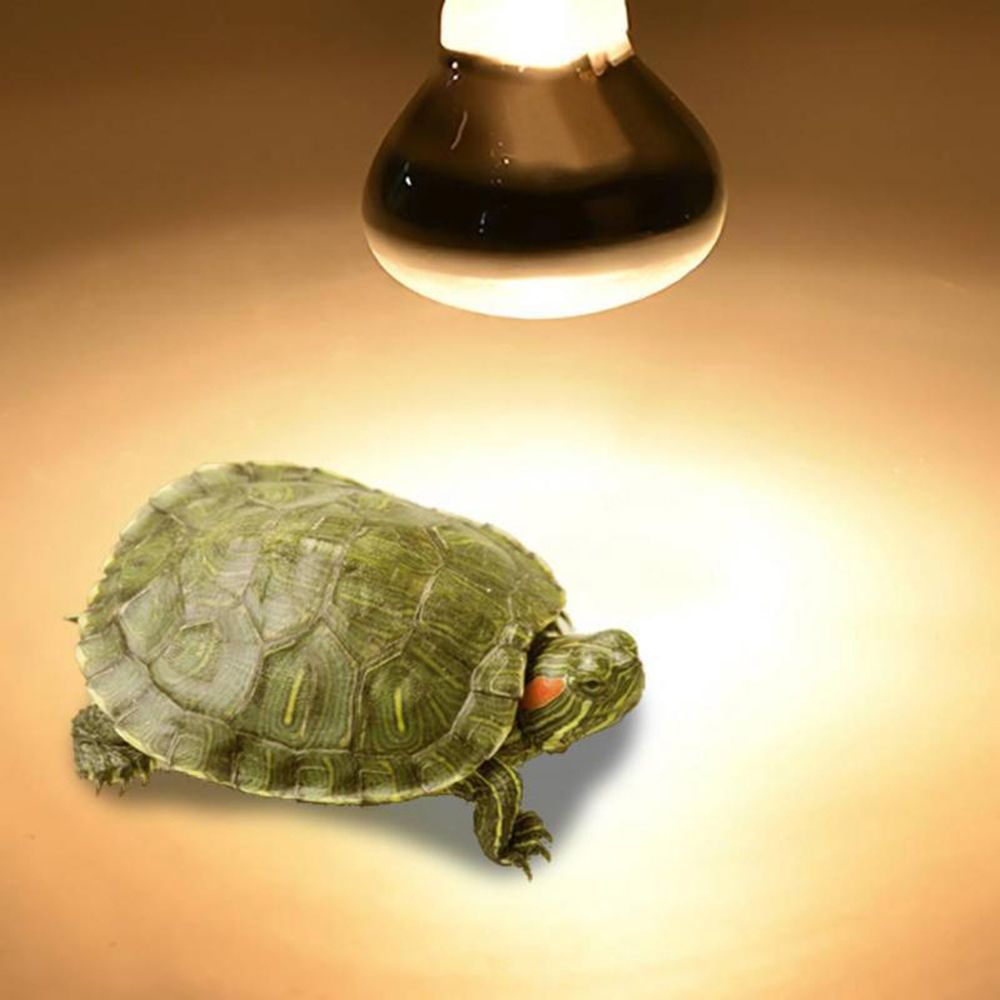 Lámpara de calor para tortugas - Basking Bulb Halogen reseña y precio
