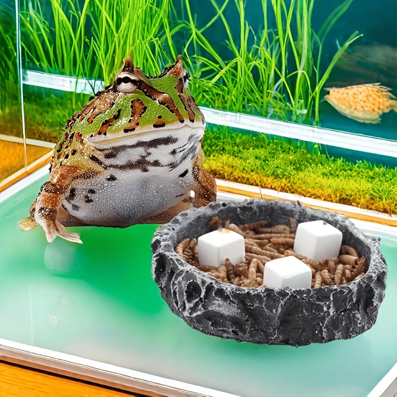 6 unidades de bloques de calci - Calcium Powder Reptile reseña y precio